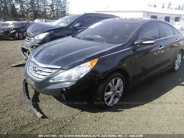 5NPEC4AC8DH655643 - 2013 HYUNDAI SONATA SE/LIMITED BLACK photo 2