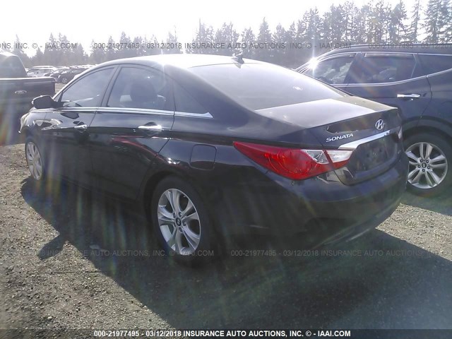 5NPEC4AC8DH655643 - 2013 HYUNDAI SONATA SE/LIMITED BLACK photo 3