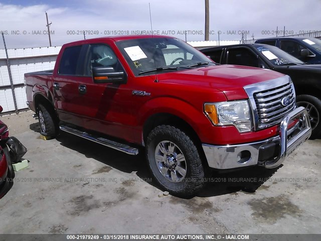 1FTEW1E82AFC84237 - 2010 FORD F150 SUPERCREW RED photo 1