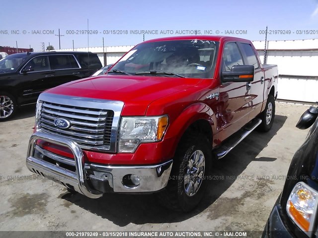 1FTEW1E82AFC84237 - 2010 FORD F150 SUPERCREW RED photo 2