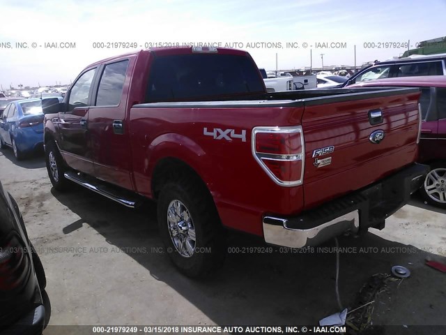 1FTEW1E82AFC84237 - 2010 FORD F150 SUPERCREW RED photo 3