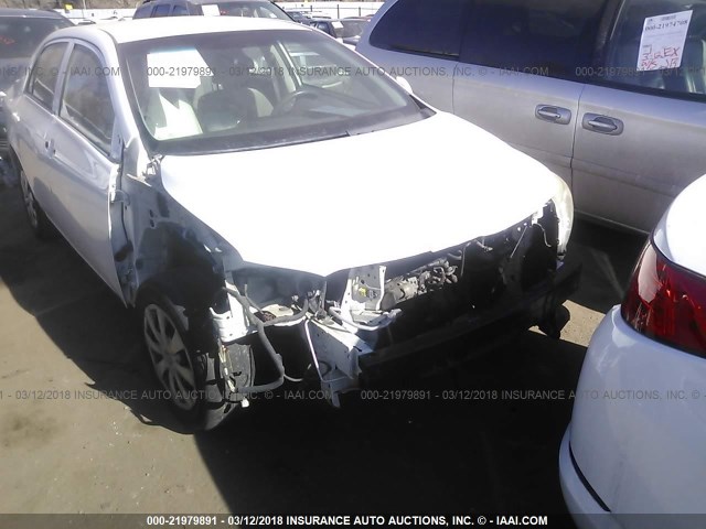 JTDBL40E09J036314 - 2009 TOYOTA COROLLA LE/XLE WHITE photo 6