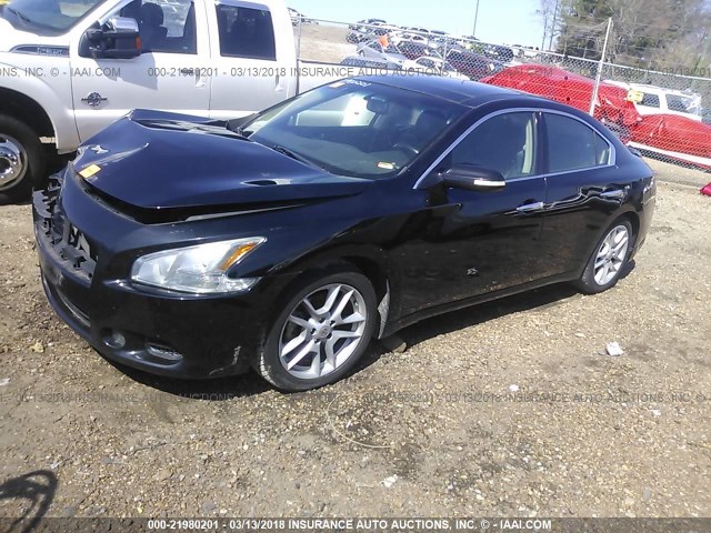 1N4AA5APXBC813704 - 2011 NISSAN MAXIMA S/SV BLACK photo 2