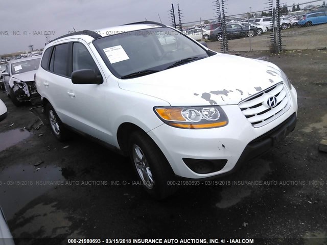 5NMSGDAB1AH355790 - 2010 HYUNDAI SANTA FE GLS WHITE photo 1