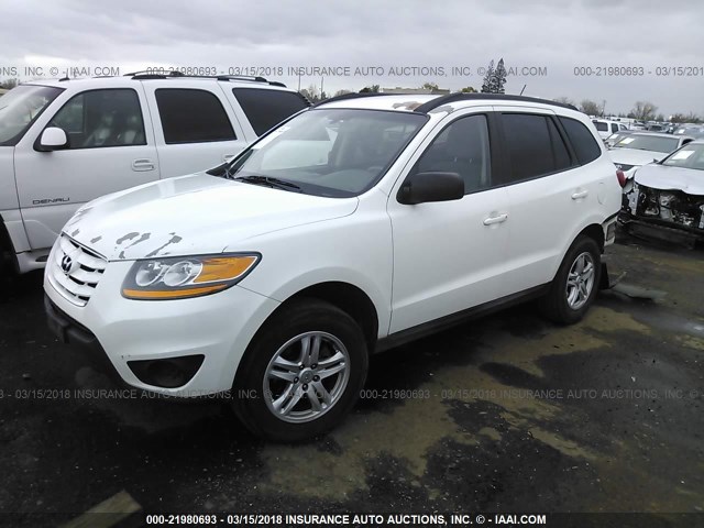 5NMSGDAB1AH355790 - 2010 HYUNDAI SANTA FE GLS WHITE photo 2