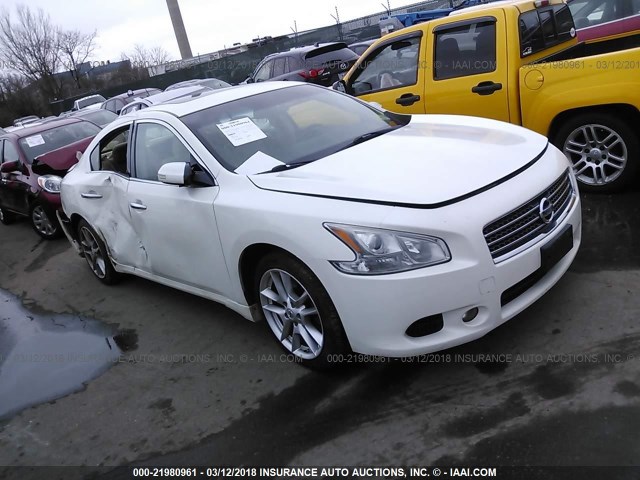 1N4AA5AP3BC807887 - 2011 NISSAN MAXIMA S/SV WHITE photo 1