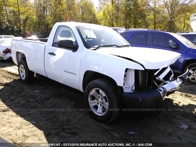 1GCNCPEA5DZ101317 - 2013 CHEVROLET SILVERADO C1500 WHITE photo 1