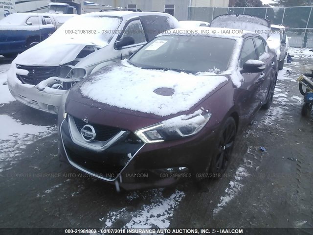 1N4AA6AP0HC421734 - 2017 NISSAN MAXIMA 3.5S/SV/SL/SR/PLAT MAROON photo 2