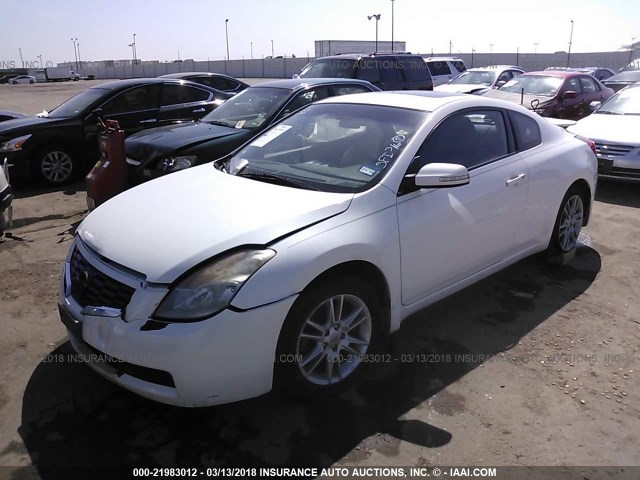 1N4BL24E48C253839 - 2008 NISSAN ALTIMA 3.5SE WHITE photo 2