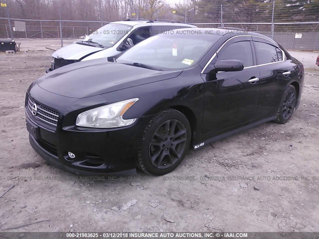 1N4AA51E69C853982 - 2009 NISSAN MAXIMA S/SV BLACK photo 2