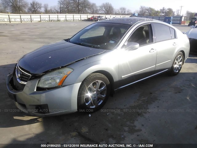 1N4BA41E27C830601 - 2007 NISSAN MAXIMA SE/SL GRAY photo 2