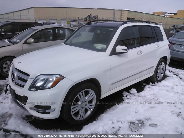 WDCGG8JB2FG437341 - 2015 MERCEDES-BENZ GLK 350 4MATIC WHITE photo 2