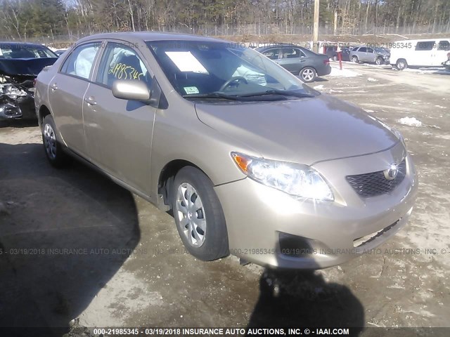 2T1BU4EE8AC462709 - 2010 TOYOTA COROLLA S/LE/XLE BROWN photo 1