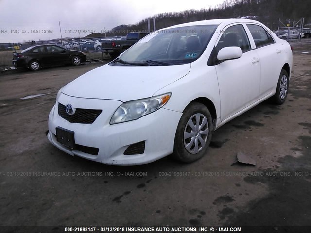 2T1BU40E99C173423 - 2009 TOYOTA COROLLA S/LE/XLE WHITE photo 2