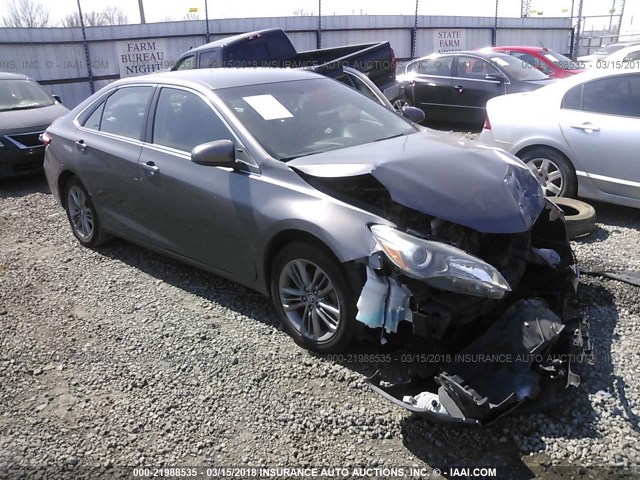 4T1BF1FK0FU024950 - 2015 TOYOTA CAMRY LE/XLE/SE/XSE GRAY photo 1