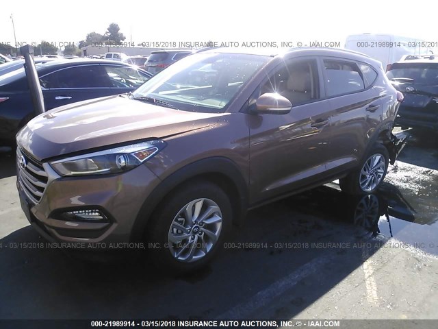 KM8J33A45HU409464 - 2017 HYUNDAI TUCSON LIMITED/SPORT AND ECO/SE BROWN photo 2