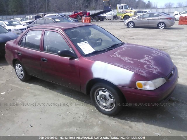 1NXBR12E6XZ187000 - 1999 TOYOTA COROLLA VE/CE/LE MAROON photo 1