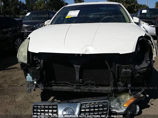 1N4BA41E64C889260 - 2004 NISSAN MAXIMA SE/SL WHITE photo 6