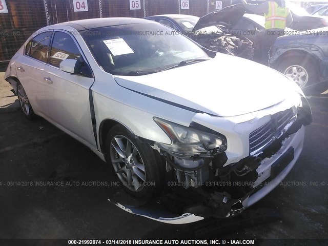 1N4AA5AP2BC839309 - 2011 NISSAN MAXIMA S/SV WHITE photo 1