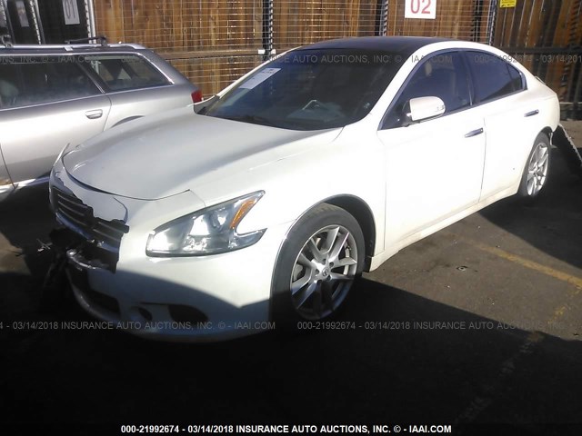 1N4AA5AP2BC839309 - 2011 NISSAN MAXIMA S/SV WHITE photo 2