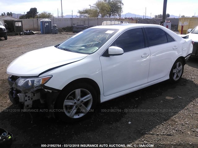 4T1BF1FK2DU659889 - 2013 TOYOTA CAMRY L/SE/LE/XLE WHITE photo 2