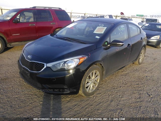 KNAFX4A66G5590540 - 2016 KIA FORTE LX BLACK photo 2