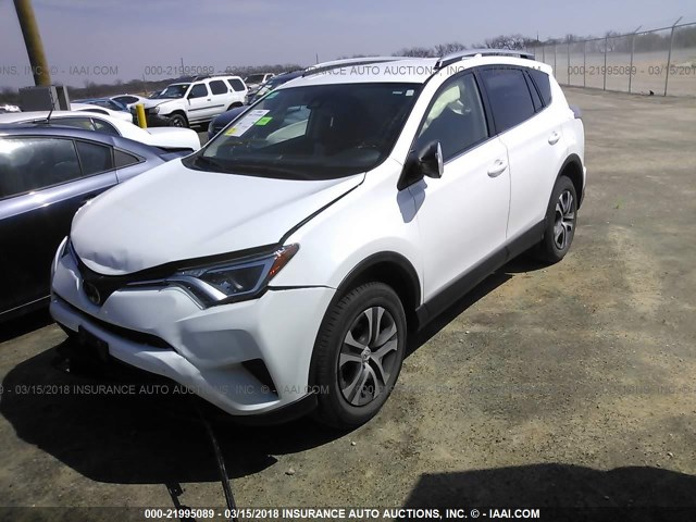 JTMBFREV5HD202157 - 2017 TOYOTA RAV4 LE WHITE photo 2