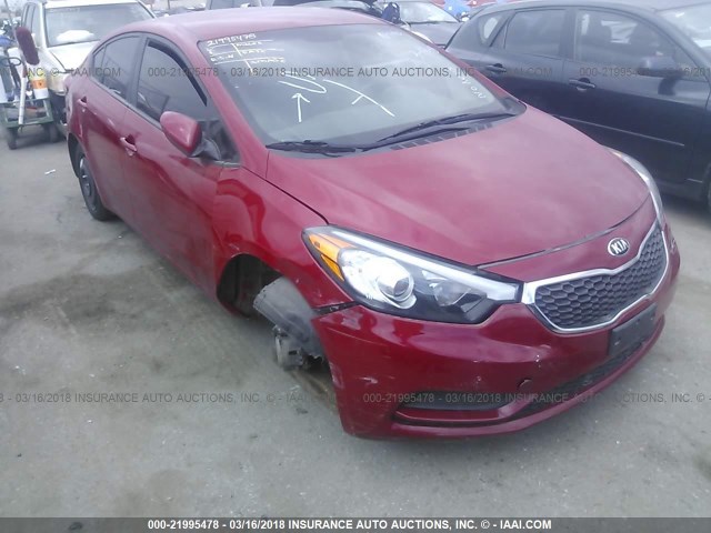 KNAFK4A68G5599366 - 2016 KIA FORTE LX RED photo 1