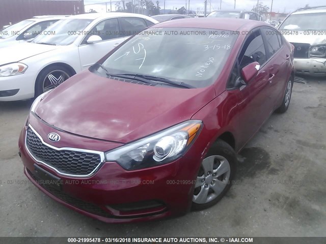 KNAFK4A68G5599366 - 2016 KIA FORTE LX RED photo 2