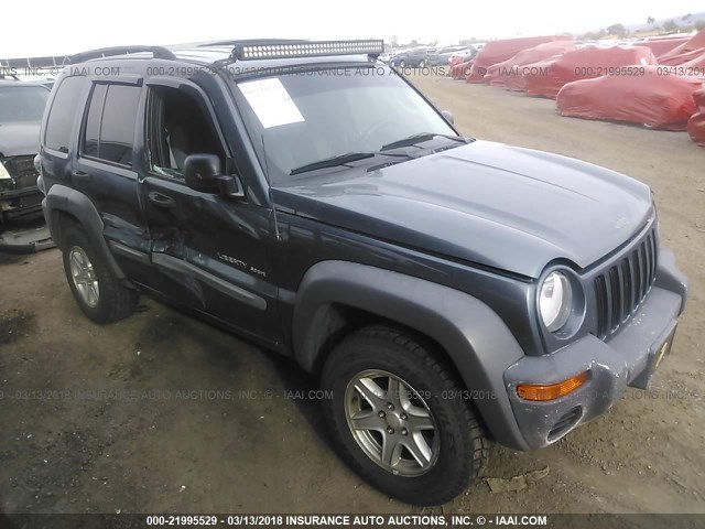 1J4GL48K32W298475 - 2002 JEEP LIBERTY SPORT Mavi foto 1
