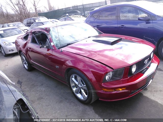 1ZVHT82H985167383 - 2008 FORD MUSTANG GT RED photo 6