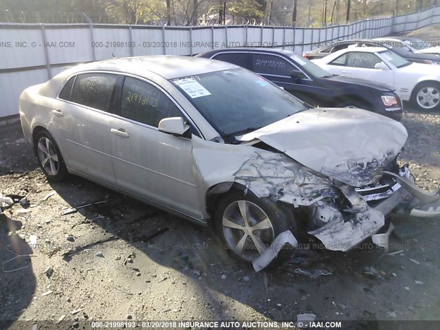 1G1ZC5E16BF318050 - 2011 CHEVROLET MALIBU 1LT კრემისფერი ფოტო 1