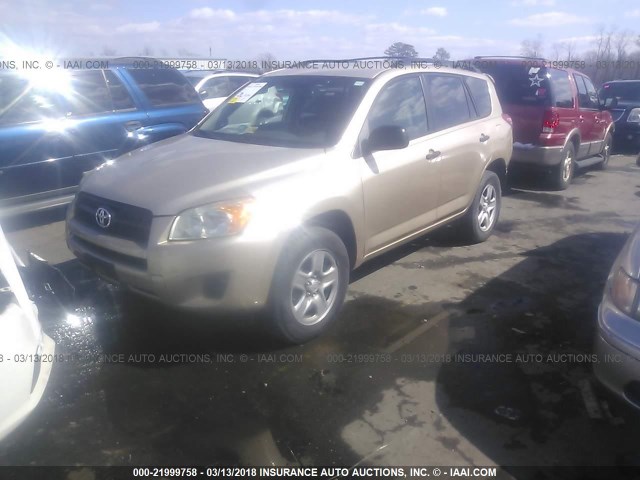 JTMBF4DV8AD033536 - 2010 TOYOTA RAV4 GOLD photo 2