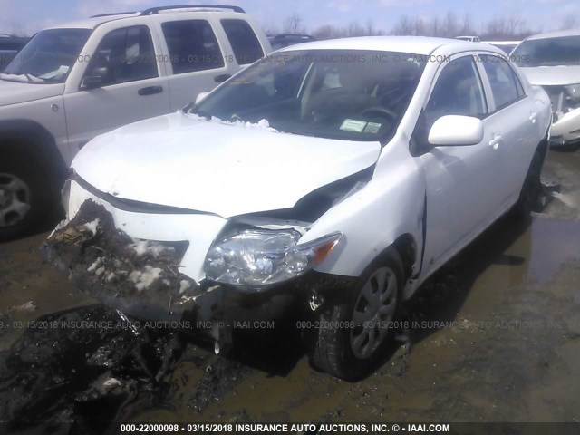 2T1BU4EE4AC275211 - 2010 TOYOTA COROLLA S/LE/XLE WHITE photo 2