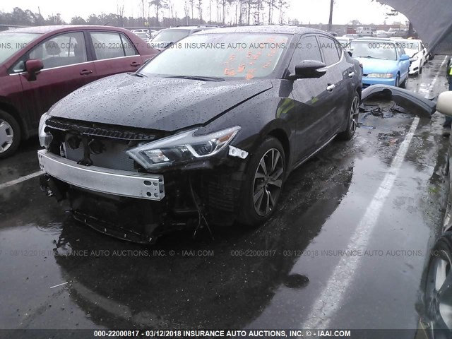 1N4AA6AP8HC439575 - 2017 NISSAN MAXIMA 3.5S/SV/SL/SR/PLAT BLACK photo 2