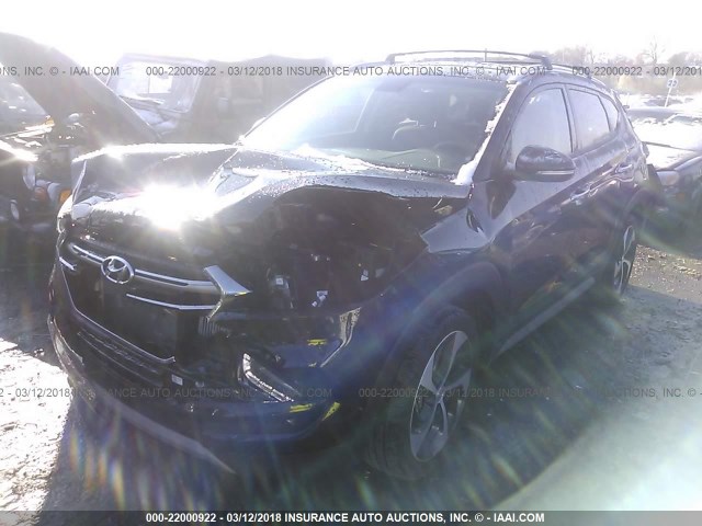 KM8J33A26HU455867 - 2017 HYUNDAI TUCSON LIMITED/SPORT AND ECO/SE BLACK photo 2