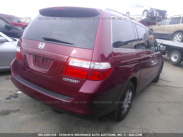 5FNRL38715B117242 - 2005 HONDA ODYSSEY EXL წითელი ფოტო 4