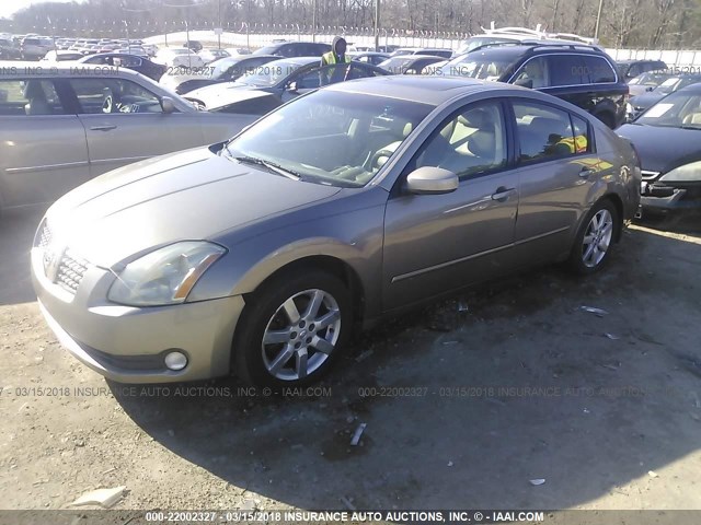 1N4BA41E24C867806 - 2004 NISSAN MAXIMA SE/SL TAN photo 2