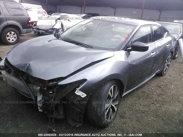 1N4AA6AP7HC366439 - 2017 NISSAN MAXIMA 3.5S/SV/SL/SR/PLAT GRAY photo 2