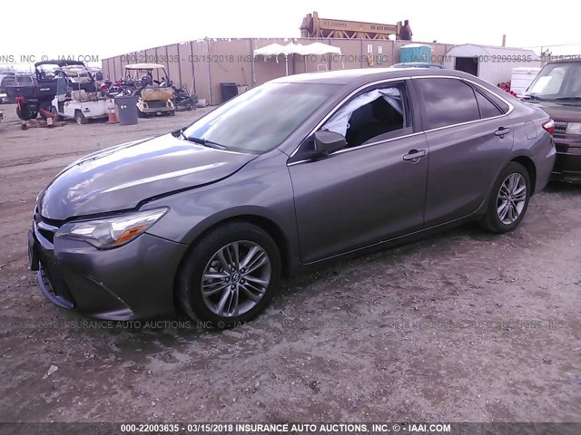 4T1BF1FK7GU211961 - 2016 TOYOTA CAMRY LE/XLE/SE/XSE GRAY photo 2