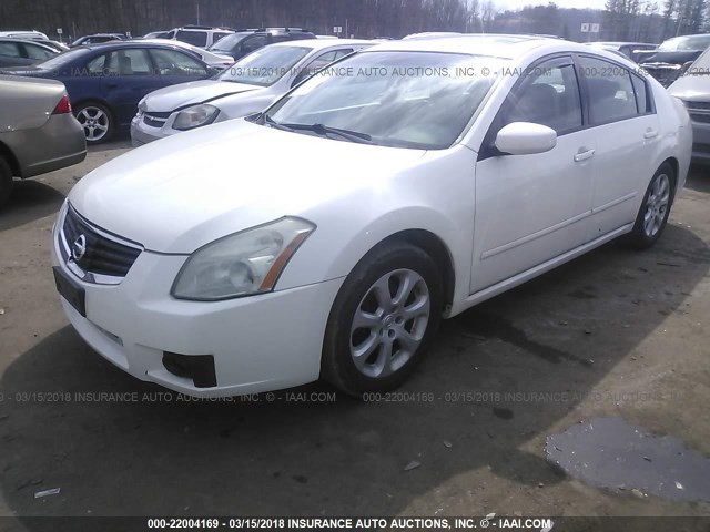 1N4BA41E17C850015 - 2007 NISSAN MAXIMA SE/SL WHITE photo 2