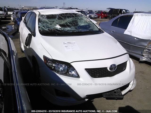 1NXBU40E99Z145684 - 2009 TOYOTA COROLLA S/LE/XLE WHITE photo 1