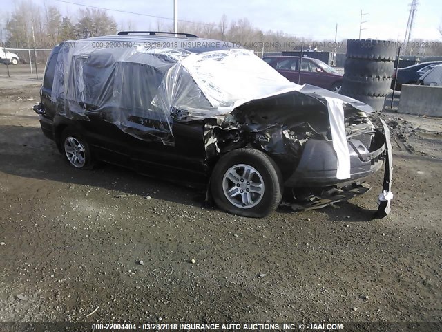 2HKYF18765H527141 - 2005 HONDA PILOT EXL BLACK photo 1