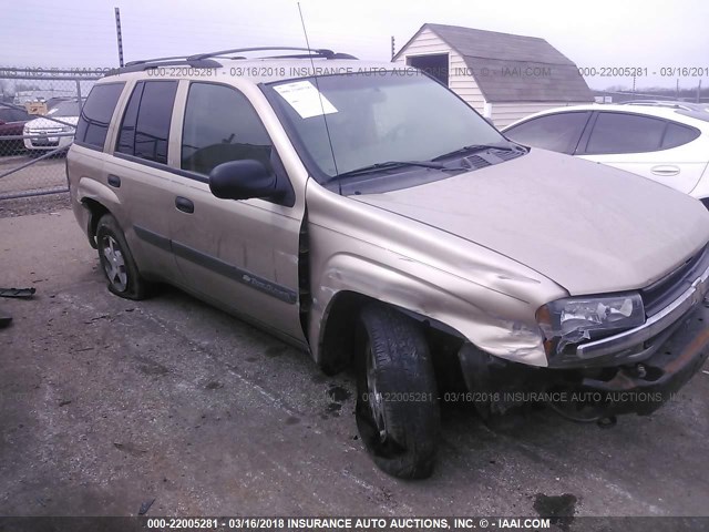 1GNDT13S242307974 - 2004 CHEVROLET TRAILBLAZER LS/LT GOLD photo 6