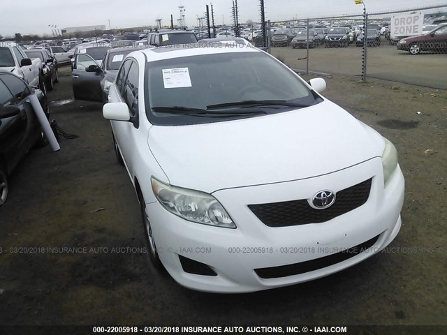 1NXBU40E89Z022135 - 2009 TOYOTA COROLLA S/LE/XLE WHITE photo 6