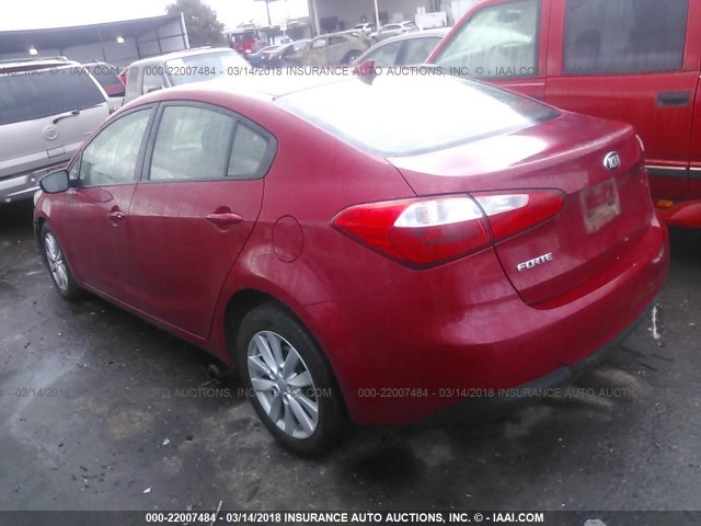 KNAFX4A68E5094667 - 2014 KIA FORTE LX RED photo 3