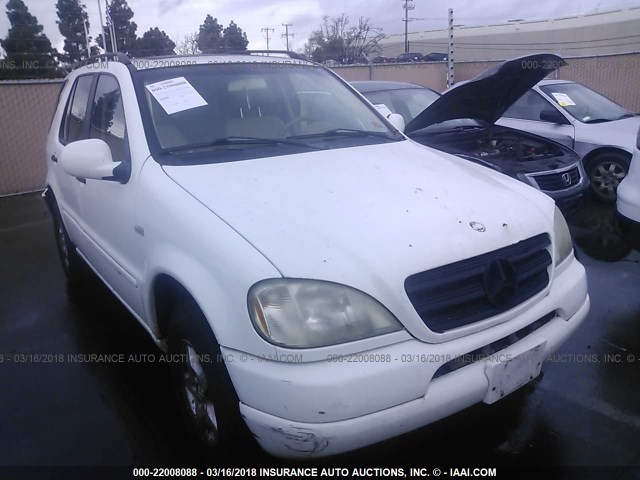 4JGAB54E5YA164444 - 2000 MERCEDES-BENZ ML 320 Ağ foto 1