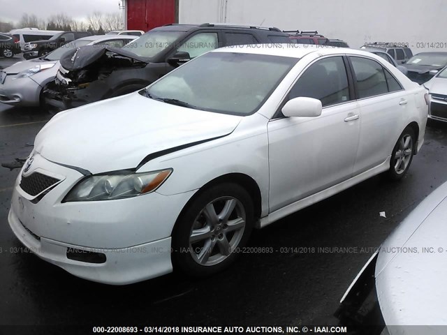4T1BE46K59U857569 - 2009 TOYOTA CAMRY SE/LE/XLE WHITE photo 2
