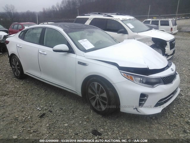 5XXGV4L27GG039889 - 2016 KIA OPTIMA SXL WHITE photo 1