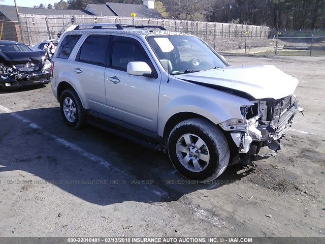 1FMCU0EG7BKA12320 - 2011 FORD ESCAPE LIMITED SILVER photo 1